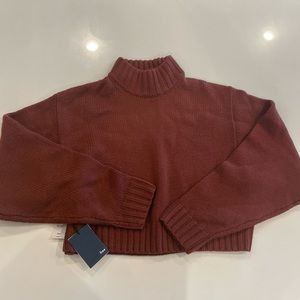 Aritzia Wilfred Free Turtleneck Cropped Sweater